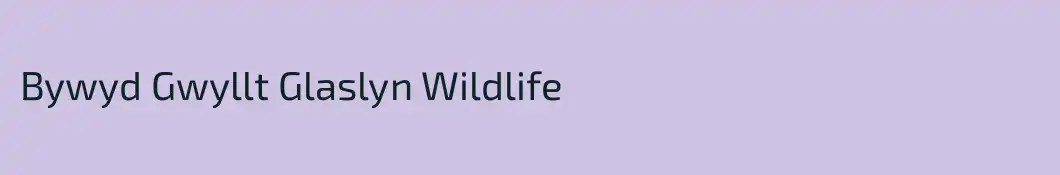 Bywyd Gwyllt Glaslyn Wildlife